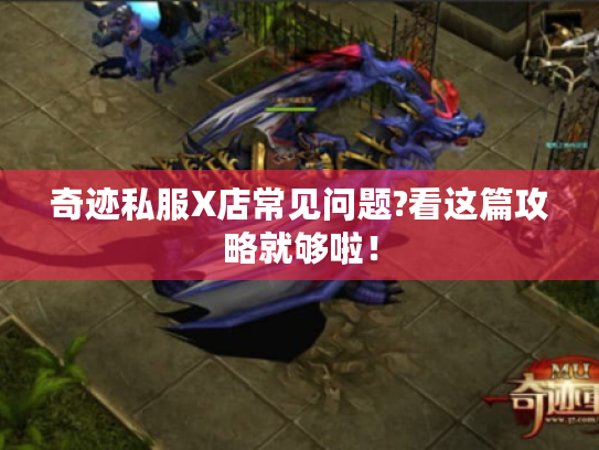 奇迹私服X店常见问题?看这篇攻略就够啦! 奇迹私服X店常见问题?看这篇攻略就够啦!