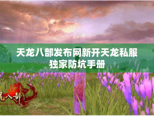 天龙八部发布网新开天龙私服独家防坑手册 天龙八部发布网新开天龙私服独家防坑手册