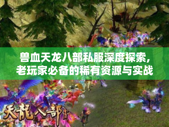 兽血天龙八部私服深度探索,老玩家必备的稀有资源与实战技巧 兽血天龙八部私服深度探索,老玩家必备的稀有资源与实战技巧
