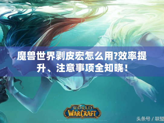 魔兽世界剥皮宏怎么用?效率提升、注意事项全知晓! 魔兽世界剥皮宏怎么用?效率提升、注意事项全知晓!