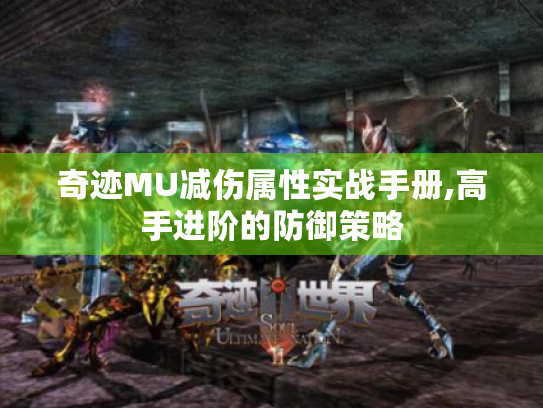 奇迹MU减伤属性实战手册,高手进阶的防御策略 奇迹MU减伤属性实战手册,高手进阶的防御策略