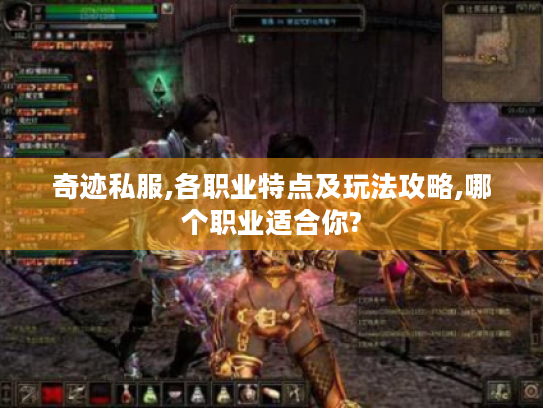 奇迹私服,各职业特点及玩法攻略,哪个职业适合你? 奇迹私服,各职业特点及玩法攻略,哪个职业适合你?