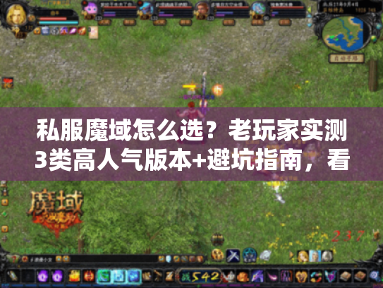 私服魔域怎么选?老玩家实测3类高人气版本+避坑指南,看完直接上手 私服魔域怎么选?老玩家实测3类高人气版本+避坑指南,看完直接上手