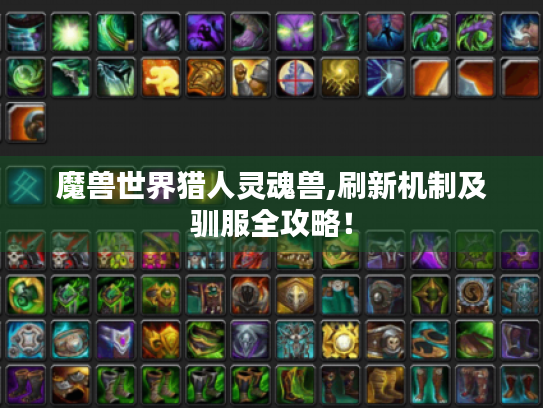 魔兽世界猎人灵魂兽,刷新机制及驯服全攻略! 魔兽世界猎人灵魂兽,刷新机制及驯服全攻略!