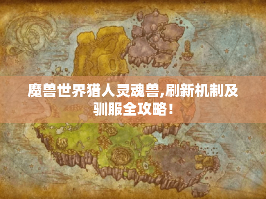 魔兽世界猎人灵魂兽,刷新机制及驯服全攻略! 魔兽世界猎人灵魂兽,刷新机制及驯服全攻略!