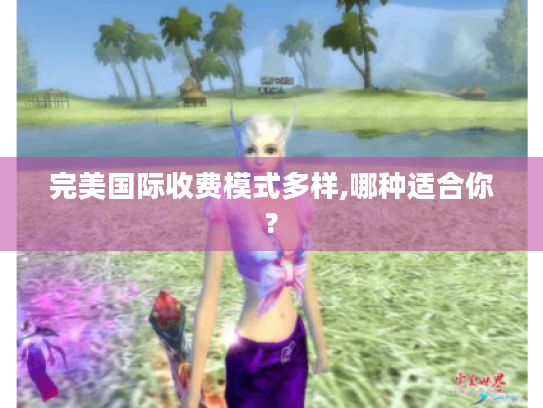 完美国际收费模式多样,哪种适合你? 完美国际收费模式多样,哪种适合你?