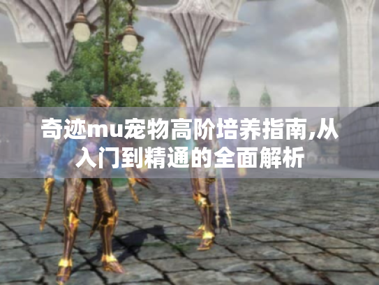 奇迹mu宠物高阶培养指南,从入门到精通的全面解析 奇迹mu宠物高阶培养指南,从入门到精通的全面解析