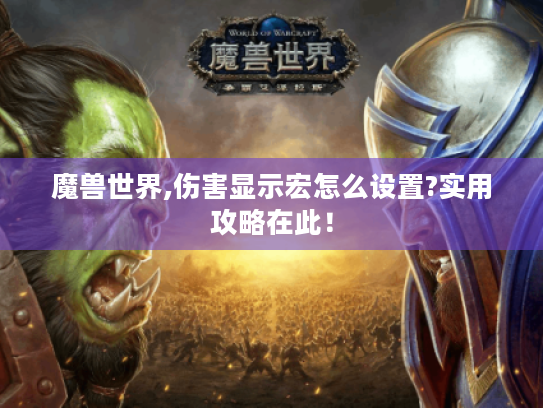 魔兽世界,伤害显示宏怎么设置?实用攻略在此! 魔兽世界,伤害显示宏怎么设置?实用攻略在此!