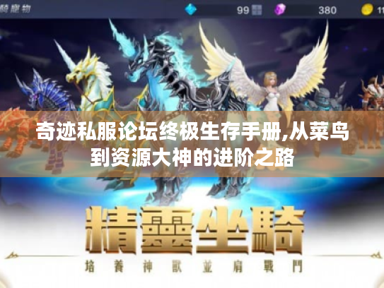 奇迹私服论坛终极生存手册,从菜鸟到资源大神的进阶之路 奇迹私服论坛终极生存手册,从菜鸟到资源大神的进阶之路