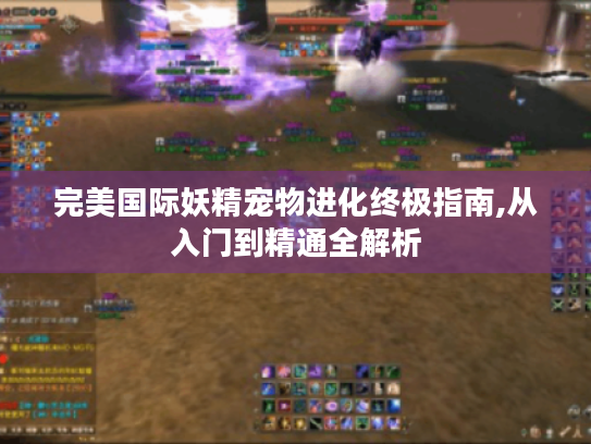 完美国际妖精宠物进化终极指南,从入门到精通全解析 完美国际妖精宠物进化终极指南,从入门到精通全解析