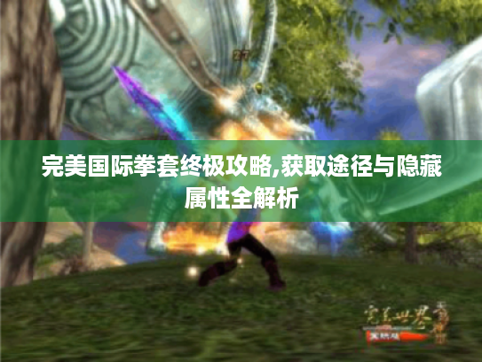 完美国际拳套终极攻略,获取途径与隐藏属性全解析 完美国际拳套终极攻略,获取途径与隐藏属性全解析