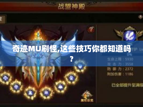 奇迹MU刷怪,这些技巧你都知道吗? 奇迹MU刷怪,这些技巧你都知道吗?