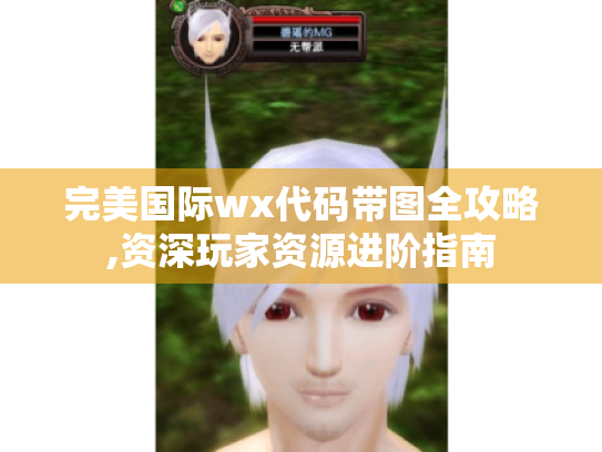 完美国际wx代码带图全攻略,资深玩家资源进阶指南 完美国际wx代码带图全攻略,资深玩家资源进阶指南