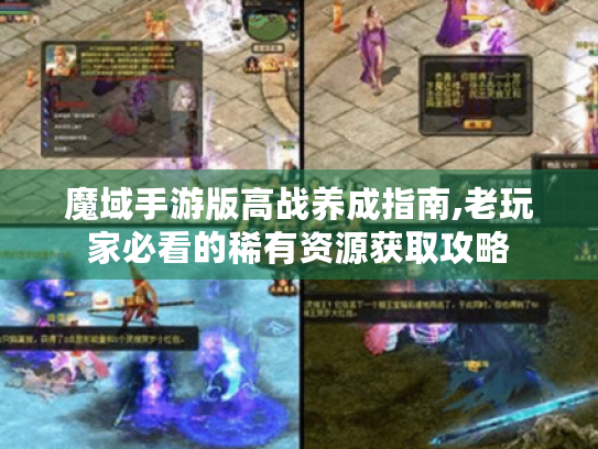 魔域手游版高战养成指南,老玩家必看的稀有资源获取攻略 魔域手游版高战养成指南,老玩家必看的稀有资源获取攻略