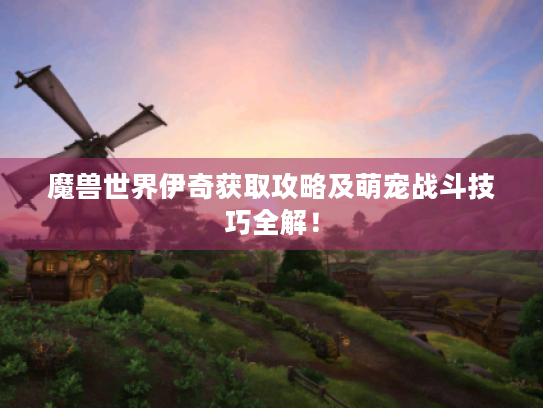 魔兽世界伊奇获取攻略及萌宠战斗技巧全解! 魔兽世界伊奇获取攻略及萌宠战斗技巧全解!