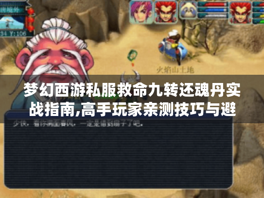 梦幻西游私服救命九转还魂丹实战指南,高手玩家亲测技巧与避坑攻略 梦幻西游私服救命九转还魂丹实战指南,高手玩家亲测技巧与避坑攻略