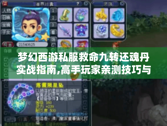梦幻西游私服救命九转还魂丹实战指南,高手玩家亲测技巧与避坑攻略 梦幻西游私服救命九转还魂丹实战指南,高手玩家亲测技巧与避坑攻略