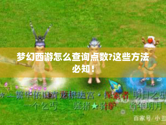 梦幻西游怎么查询点数?这些方法必知! 梦幻西游怎么查询点数?这些方法必知!
