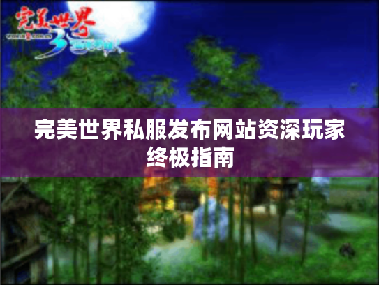 完美世界私服发布网站资深玩家终极指南 完美世界私服发布网站资深玩家终极指南