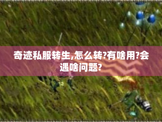 奇迹私服转生,怎么转?有啥用?会遇啥问题? 奇迹私服转生,怎么转?有啥用?会遇啥问题?