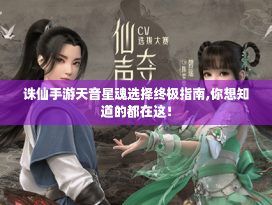 诛仙手游天音星魂选择终极指南,你想知道的都在这! 诛仙手游天音星魂选择终极指南,你想知道的都在这!