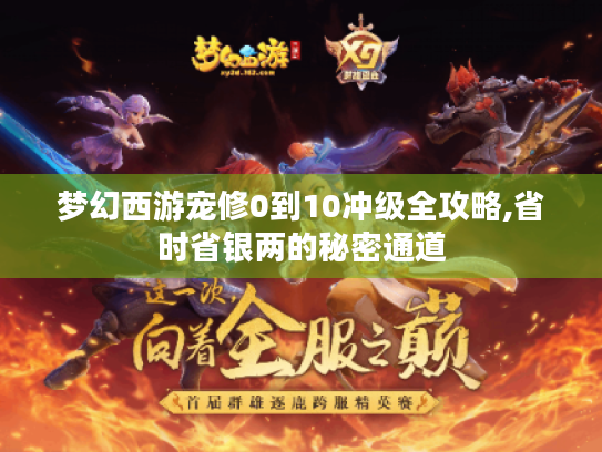 梦幻西游宠修0到10冲级全攻略,省时省银两的秘密通道 梦幻西游宠修0到10冲级全攻略,省时省银两的秘密通道