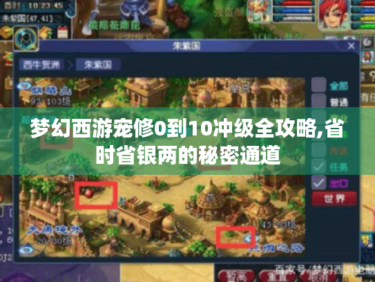 梦幻西游宠修0到10冲级全攻略,省时省银两的秘密通道 梦幻西游宠修0到10冲级全攻略,省时省银两的秘密通道