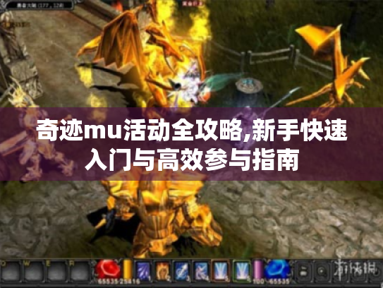 奇迹mu活动全攻略,新手快速入门与高效参与指南 奇迹mu活动全攻略,新手快速入门与高效参与指南