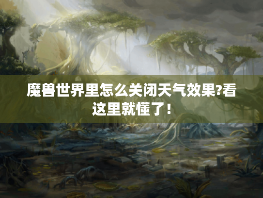 魔兽世界里怎么关闭天气效果?看这里就懂了! 魔兽世界里怎么关闭天气效果?看这里就懂了!