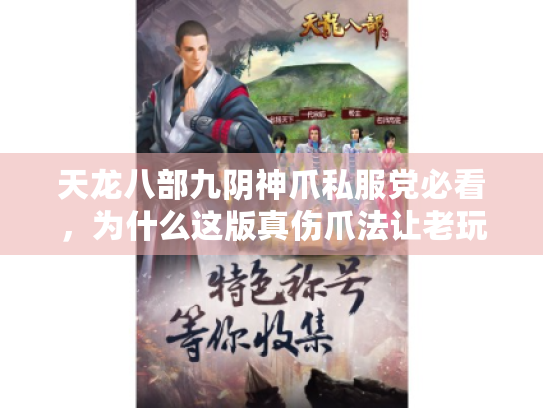 天龙八部九阴神爪私服党必看，为什么这版真伤爪法让老玩家退坑又回坑？