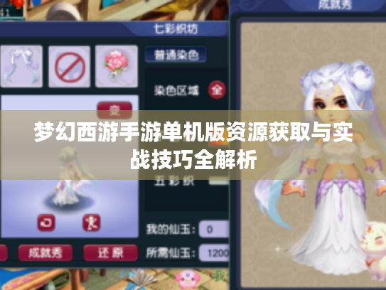 梦幻西游手游单机版资源获取与实战技巧全解析