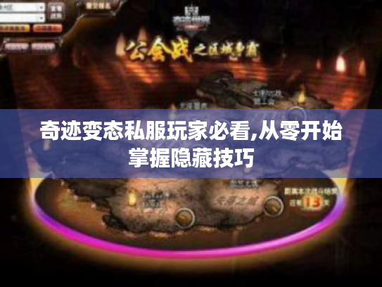 奇迹变态私服玩家必看,从零开始掌握隐藏技巧