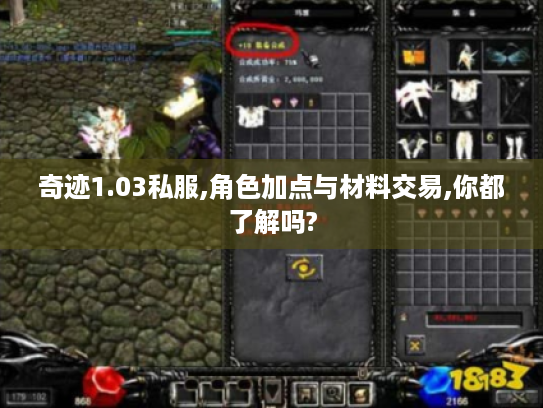奇迹1.03私服,角色加点与材料交易,你都了解吗?