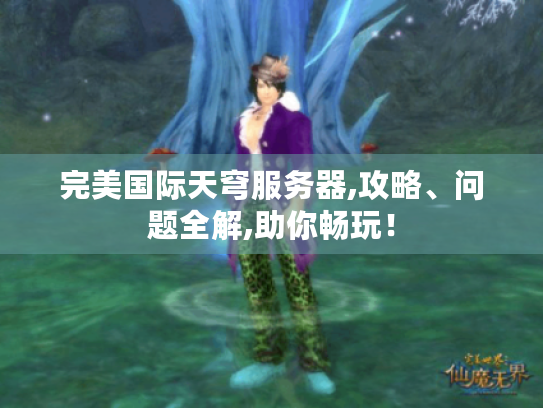 完美国际天穹服务器,攻略、问题全解,助你畅玩! 完美国际天穹服务器,攻略、问题全解,助你畅玩!