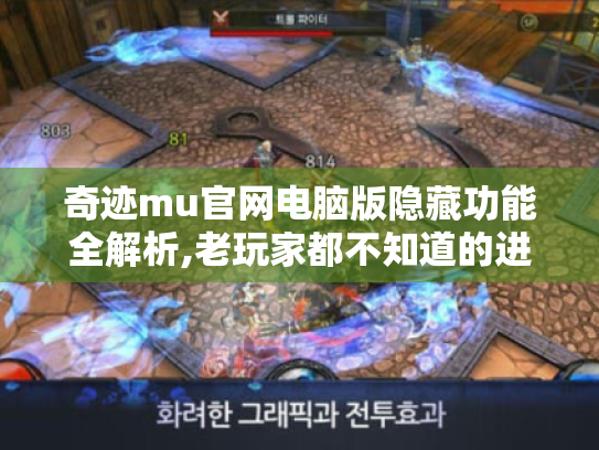 奇迹mu官网电脑版隐藏功能全解析,老玩家都不知道的进阶技巧 奇迹mu官网电脑版隐藏功能全解析,老玩家都不知道的进阶技巧