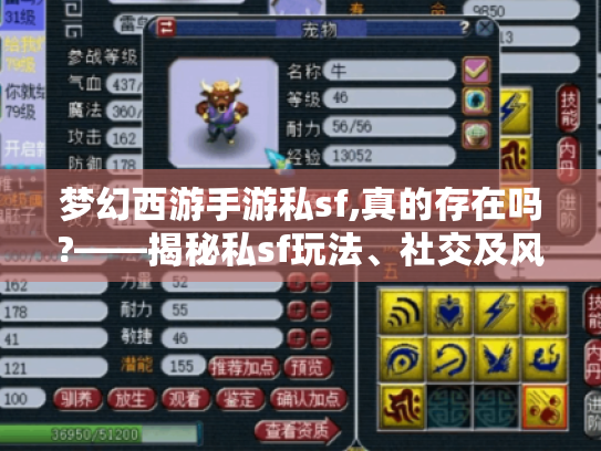 梦幻西游手游私sf,真的存在吗?——揭秘私sf玩法、社交及风险 梦幻西游手游私sf,真的存在吗?——揭秘私sf玩法、社交及风险