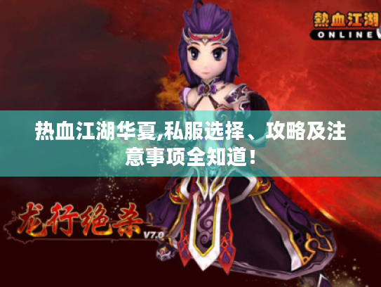 热血江湖华夏,私服选择、攻略及注意事项全知道！