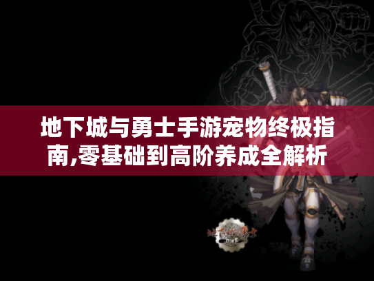 地下城与勇士手游宠物终极指南,零基础到高阶养成全解析 地下城与勇士手游宠物终极指南,零基础到高阶养成全解析