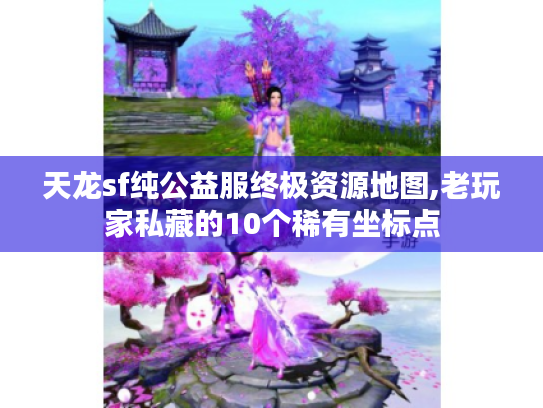 天龙sf纯公益服终极资源地图,老玩家私藏的10个稀有坐标点 天龙sf纯公益服终极资源地图,老玩家私藏的10个稀有坐标点