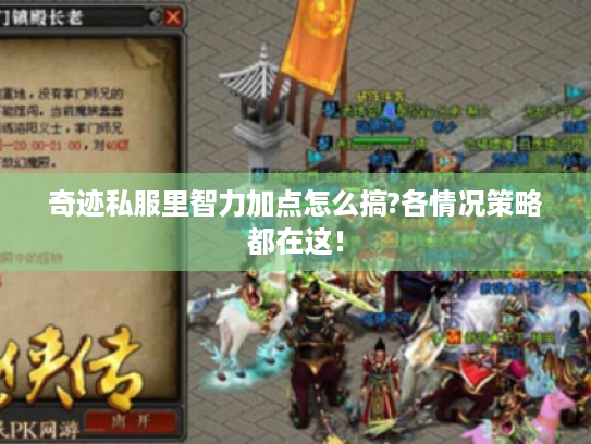 奇迹私服里智力加点怎么搞?各情况策略都在这! 奇迹私服里智力加点怎么搞?各情况策略都在这!