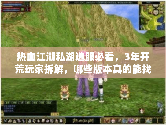 热血江湖私湖选服必看,3年开荒玩家拆解,哪些版本真的能找回当年的热血? 热血江湖私湖选服必看,3年开荒玩家拆解,哪些版本真的能找回当年的热血?