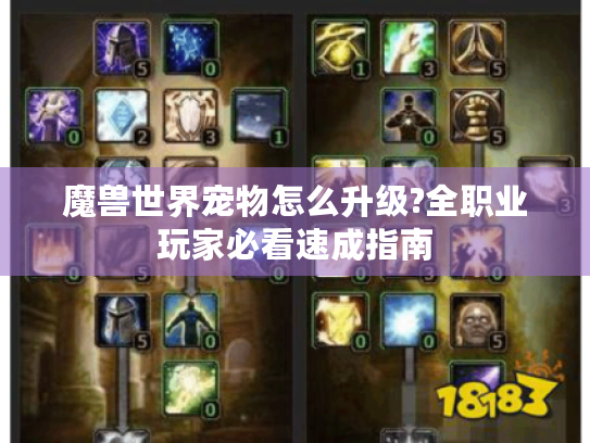魔兽世界宠物怎么升级?全职业玩家必看速成指南 魔兽世界宠物怎么升级?全职业玩家必看速成指南