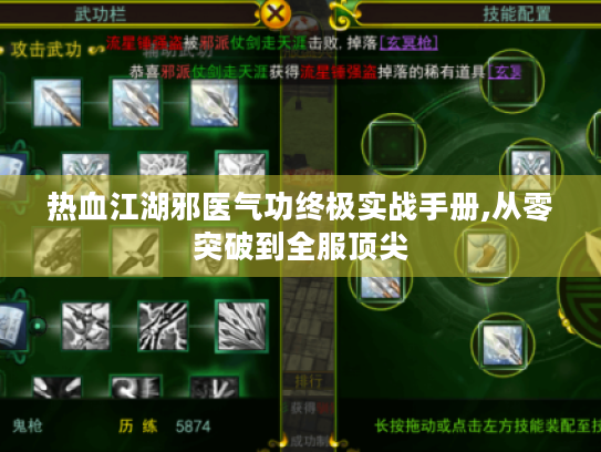 热血江湖邪医气功终极实战手册,从零突破到全服顶尖 热血江湖邪医气功终极实战手册,从零突破到全服顶尖