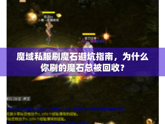 魔域私服刷魔石避坑指南,为什么你刷的魔石总被回收? 魔域私服刷魔石避坑指南,为什么你刷的魔石总被回收?