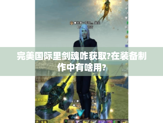 完美国际里剑魂咋获取?在装备制作中有啥用? 完美国际里剑魂咋获取?在装备制作中有啥用?