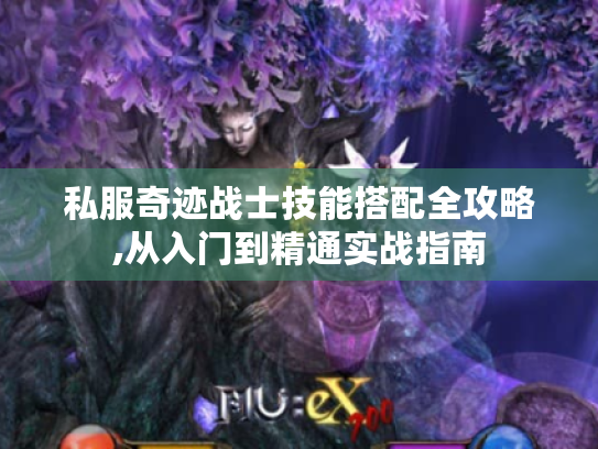 私服奇迹战士技能搭配全攻略,从入门到精通实战指南