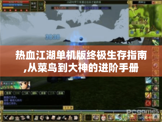 热血江湖单机版终极生存指南,从菜鸟到大神的进阶手册 热血江湖单机版终极生存指南,从菜鸟到大神的进阶手册