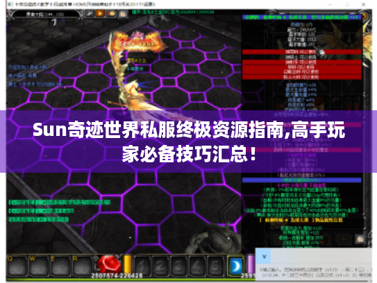 Sun奇迹世界私服终极资源指南,高手玩家必备技巧汇总! Sun奇迹世界私服终极资源指南,高手玩家必备技巧汇总!
