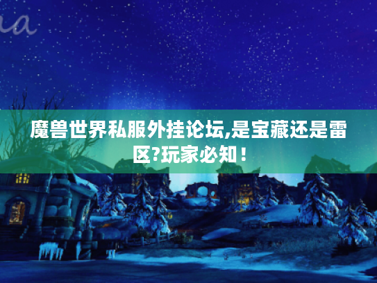 魔兽世界私服外挂论坛,是宝藏还是雷区?玩家必知！