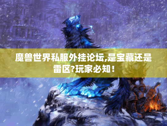 魔兽世界私服外挂论坛,是宝藏还是雷区?玩家必知！